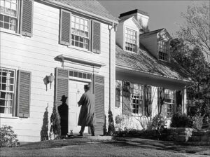 Mr. Blandings still 1
